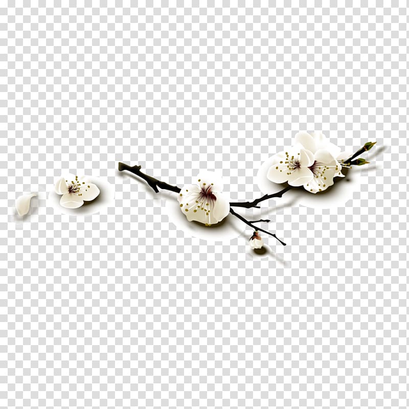 Cherry blossom, Cherry blossoms transparent background PNG clipart