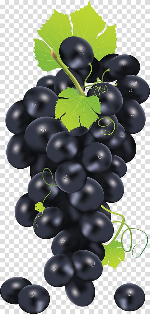 Common Grape Vine Grape seed oil graphics, grape transparent background PNG clipart