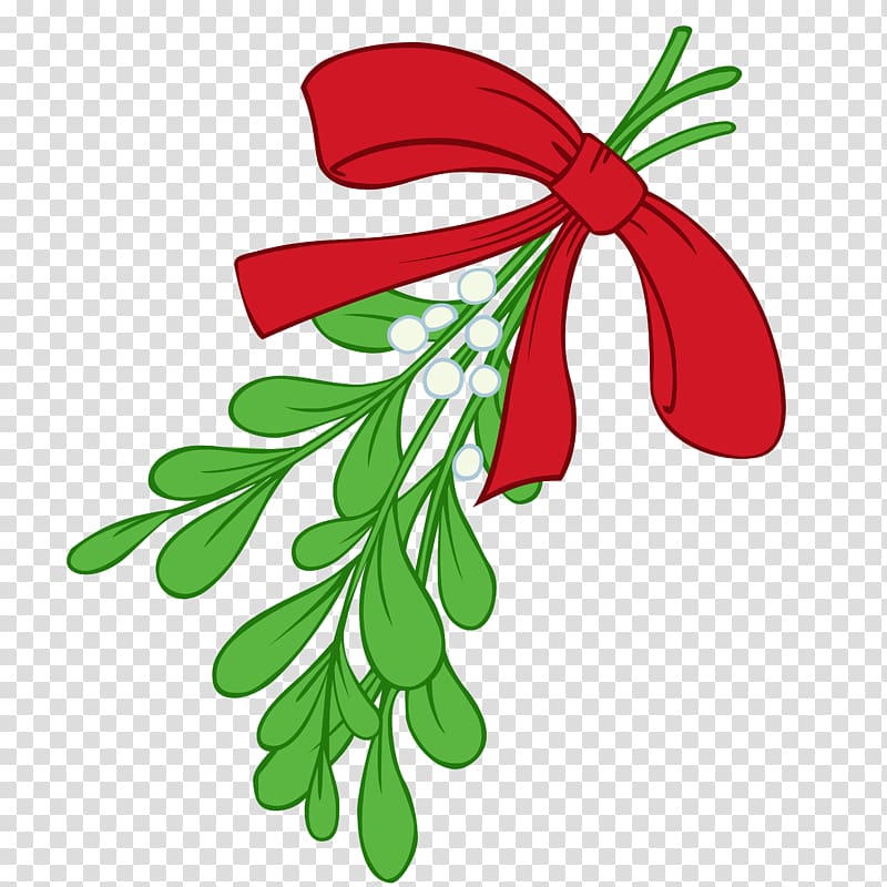 Mistletoe Phoradendron tomentosum Candy cane , How To Draw A Mistletoe transparent background PNG clipart