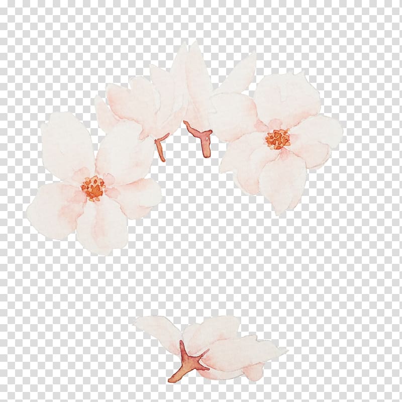 white flowers illustration, National Cherry Blossom Festival Vecteur, Cherry blossoms transparent background PNG clipart