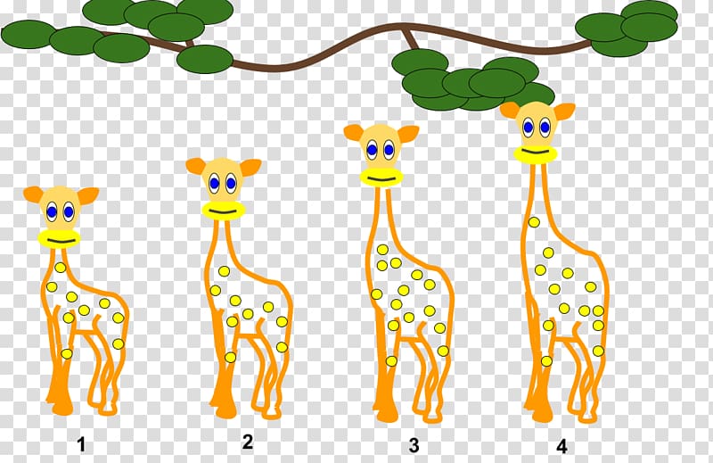 Giraffe Lamarckism Organism Evolution , giraffes transparent background PNG clipart