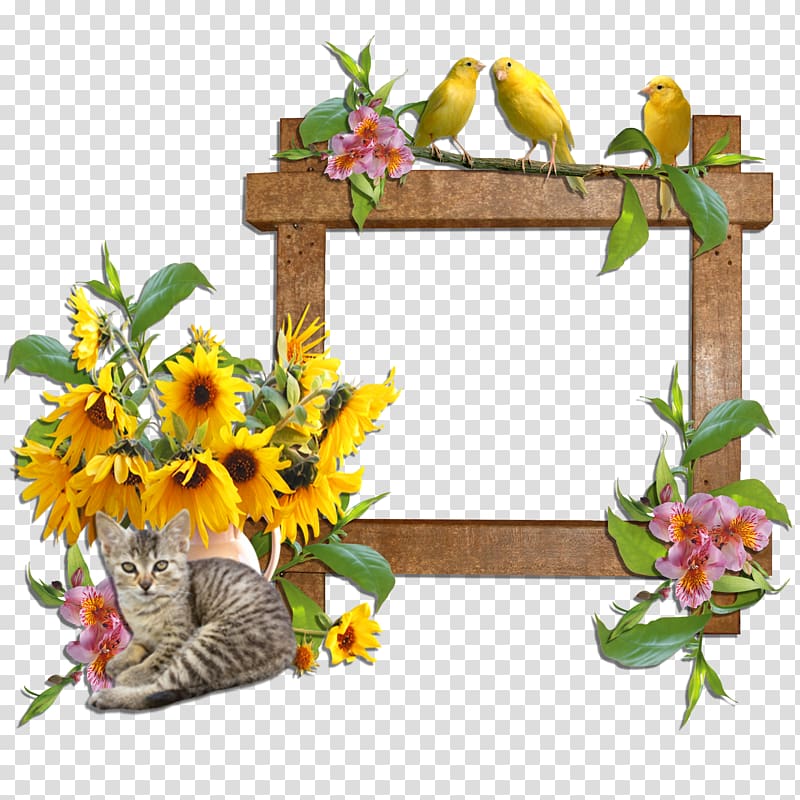 Frames Cat Domestic animal Flower , yellow frame transparent background PNG clipart