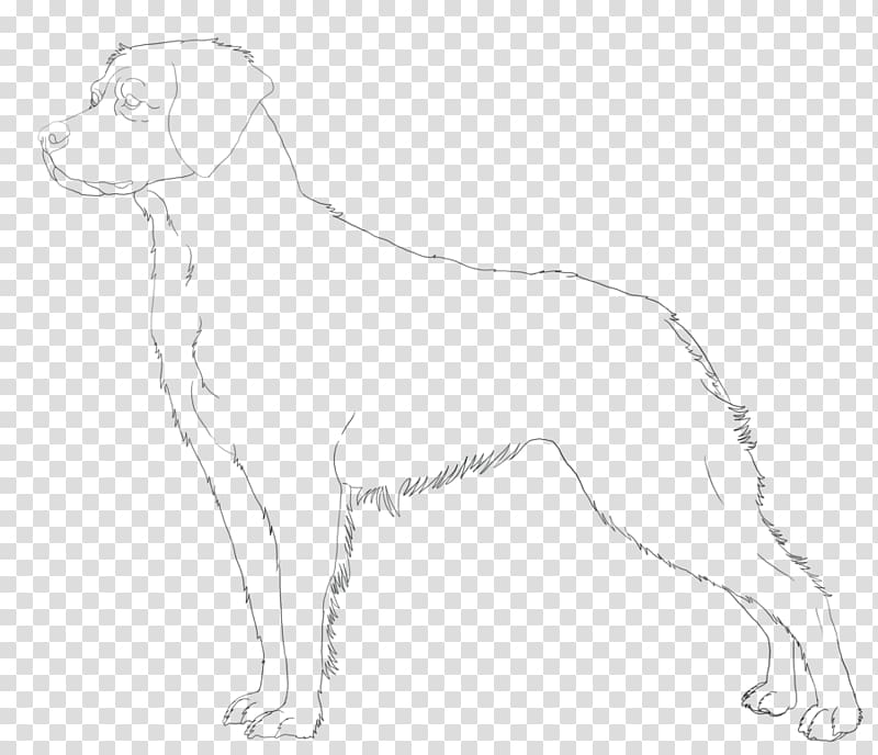 Dog breed Retriever Companion dog Brittany dog Sporting Group, puppy transparent background PNG clipart