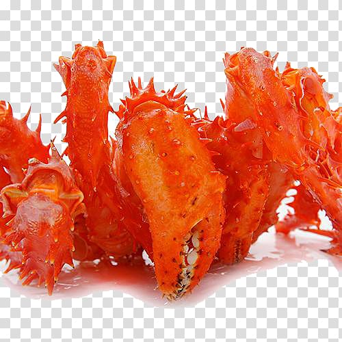 King crab Seafood Chile, Wild king crab Chile transparent background PNG clipart