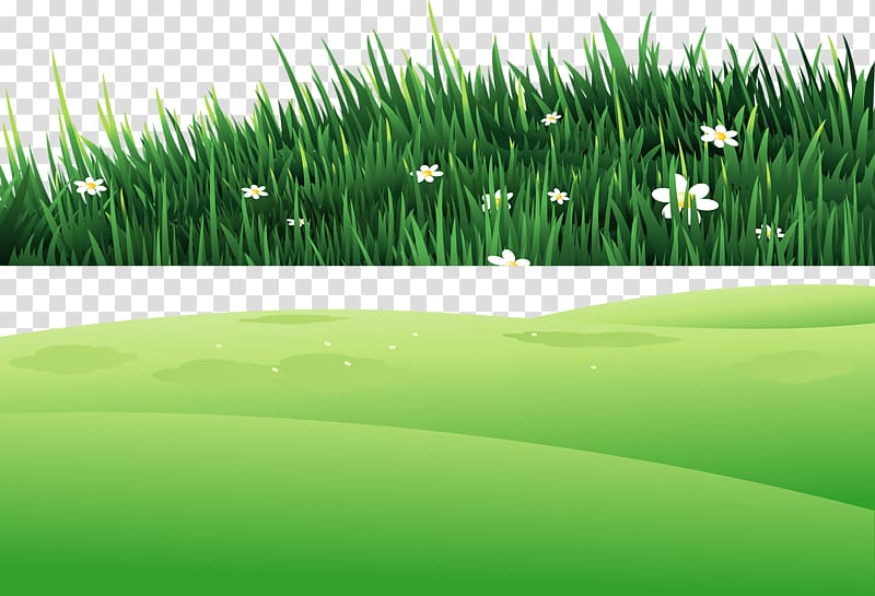 , Grass on the hill transparent background PNG clipart