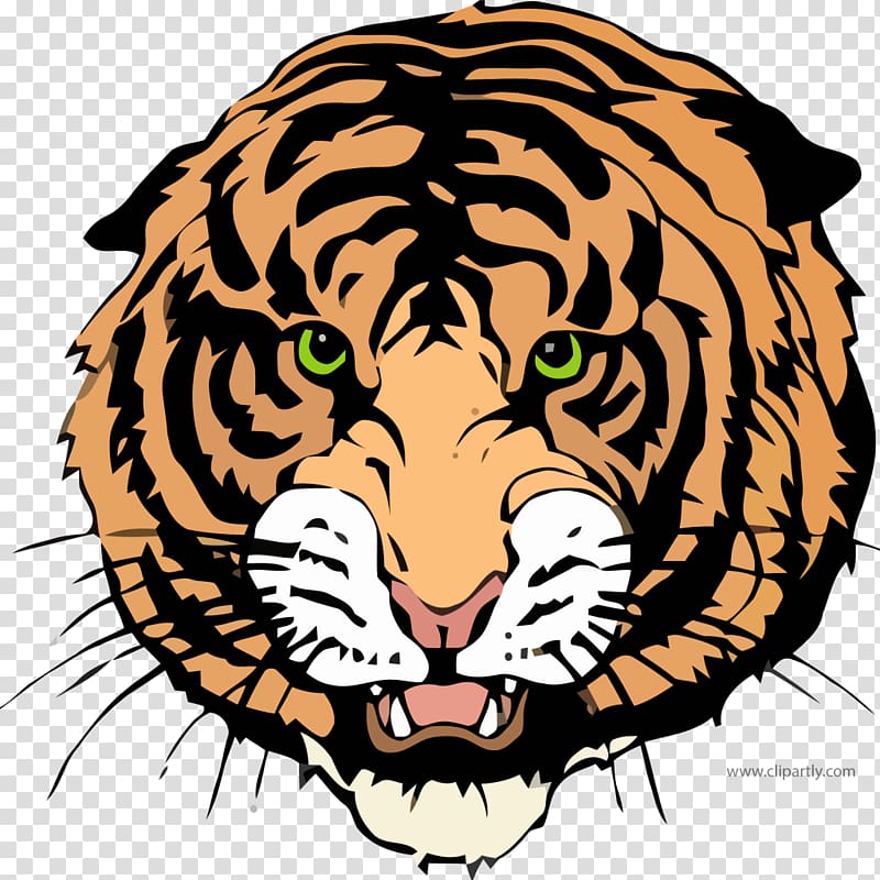 New England High School National Secondary School Williston Education, draw a tiger transparent background PNG clipart