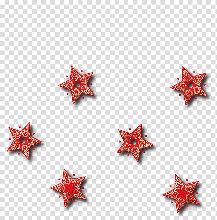 Starfish, Gm transparent background PNG clipart