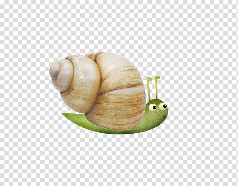 Snail Escargot Orthogastropoda, Small snail transparent background PNG clipart