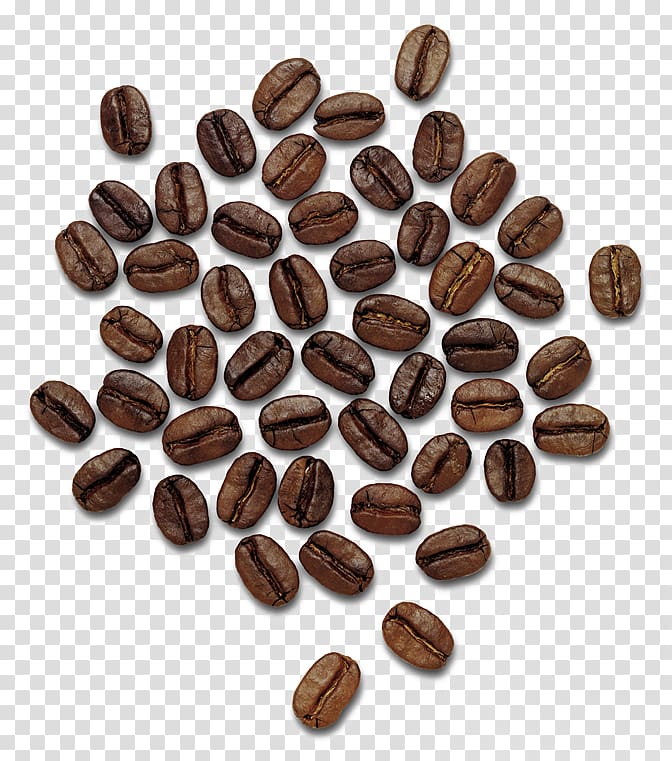 bunch of coffee beans, Coffee Thailand Praline Hazelnut Cocoa bean, Coffee beans transparent background PNG clipart