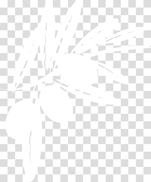 Annaabi.ee Garage Trading bvba Real Estate Culture Property, olive transparent background PNG clipart thumbnail