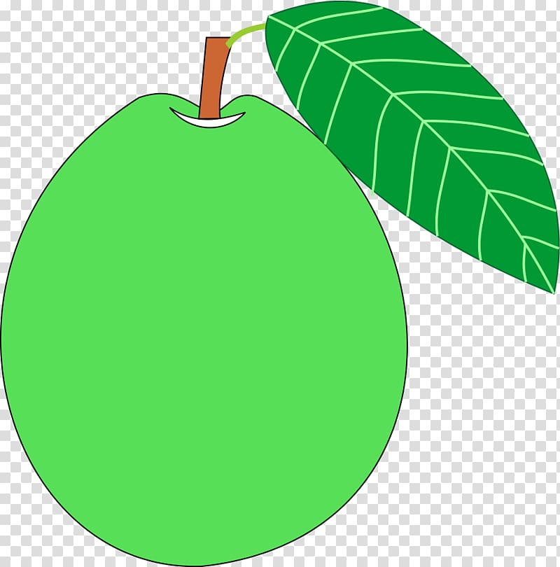 Cartoon animation Watery rose apple Java apple Guava, Anggrek transparent background PNG clipart