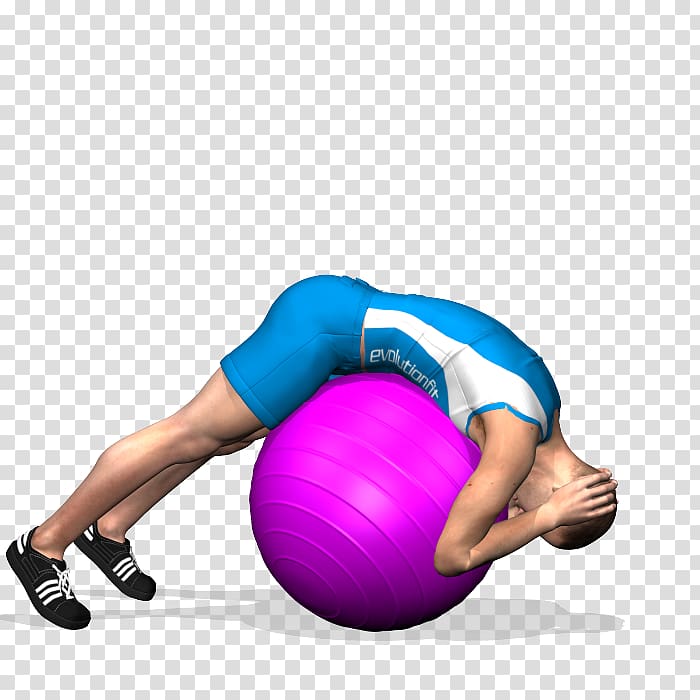 Exercise Balls Pilates Hyperextension Crunch, Exercise Balls transparent background PNG clipart