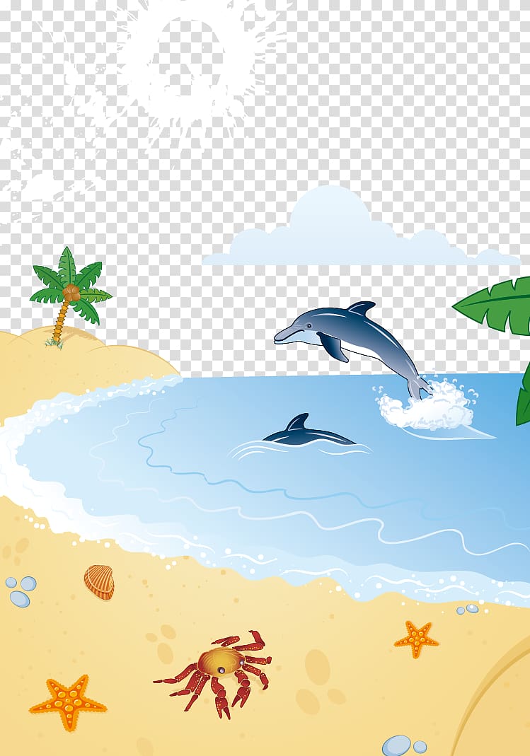 Porpoise Dolphin Coconut Arecaceae, Beach transparent background PNG clipart