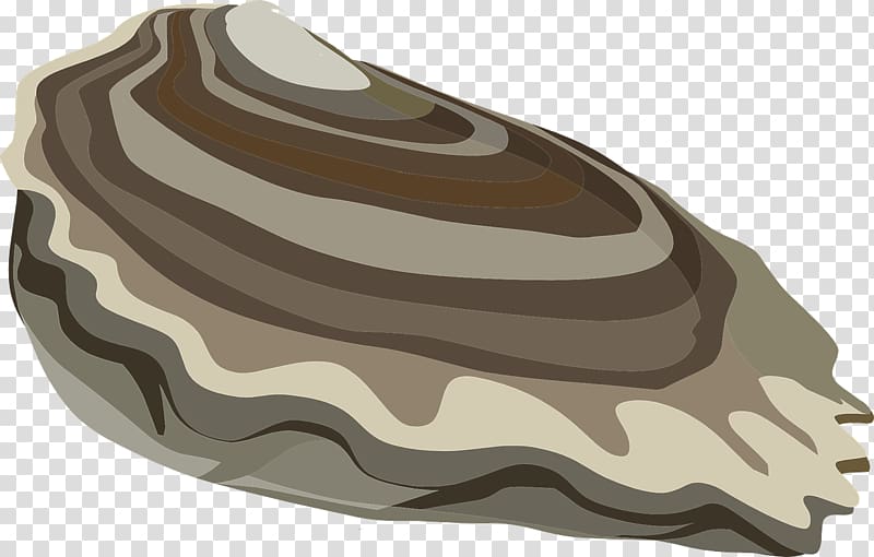 Oyster Mussel Clam Open, seashell transparent background PNG clipart