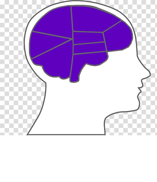 Outline of the human brain , cartoon brain transparent background PNG clipart