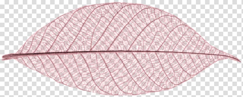 Leaf, Pink leaves transparent background PNG clipart