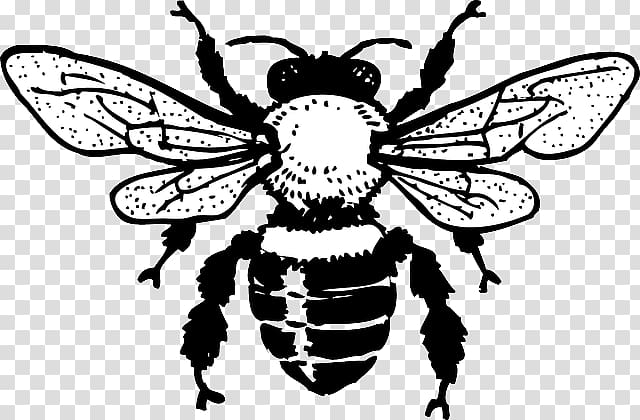 European dark bee Honey bee , Bee Silhouette transparent background PNG clipart