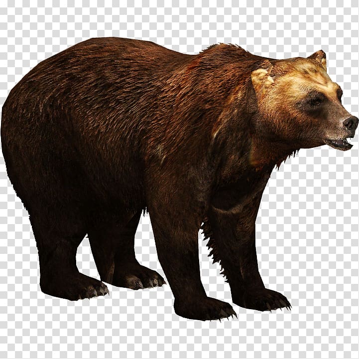 Zoo Tycoon 2 Kamchatka brown bear Ulquiorra Cifer Eurasian brown bear, bear transparent background PNG clipart