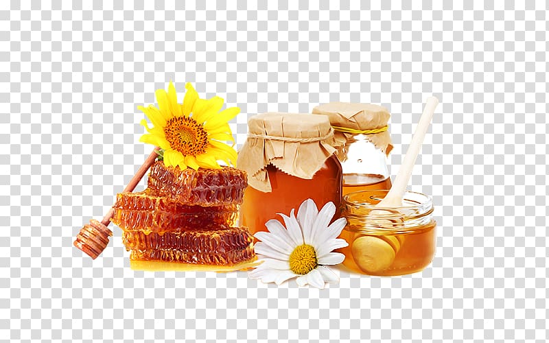Honey bee Food Flavor Honeycomb, Sunflower honey pull material Free transparent background PNG clipart
