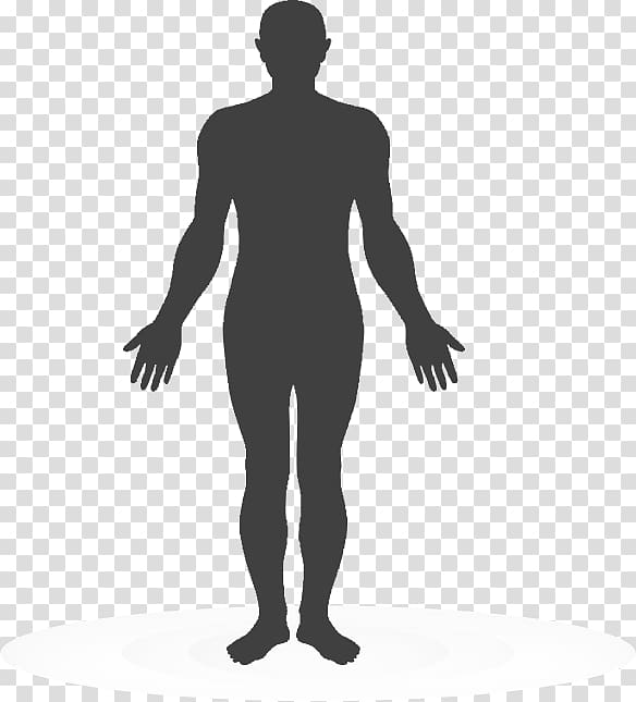 Human body , human body transparent background PNG clipart