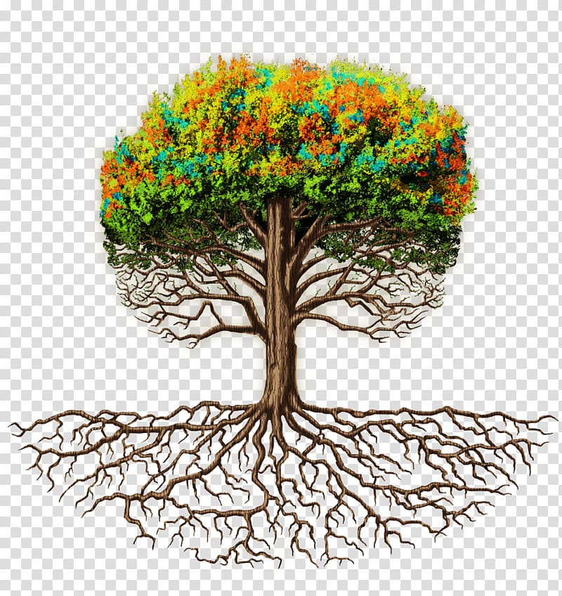 Branch Root Tree Trunk Flowerpot, tree transparent background PNG clipart