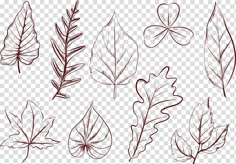 Plant Leaves Drawing Petal Leaf Shape, Hand painted plants transparent background PNG clipart