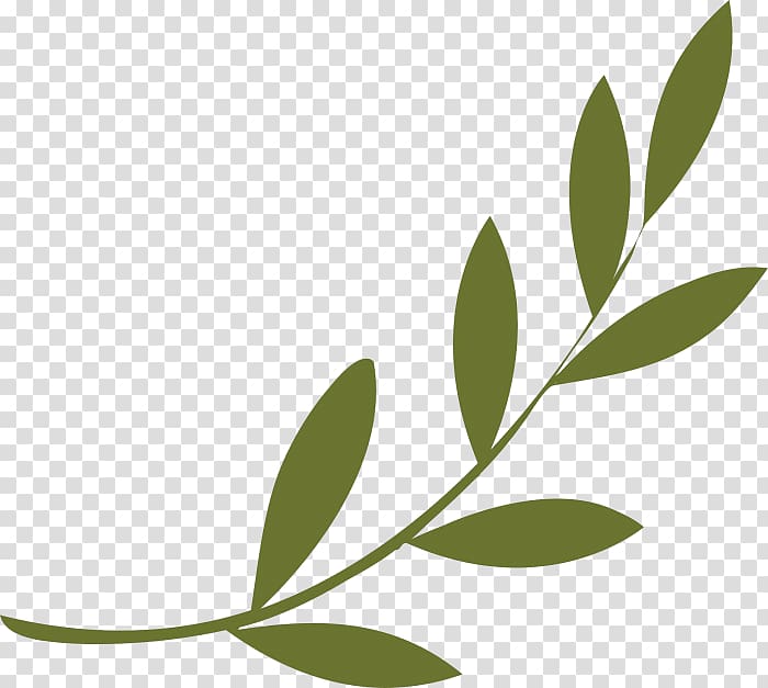 Olive branch Peace symbols Olive wreath, symbol transparent background PNG clipart