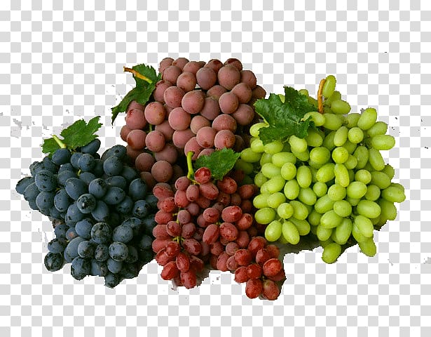 Grape Sultana Cabernet Sauvignon Seedless fruit Wine, grape Vines transparent background PNG clipart