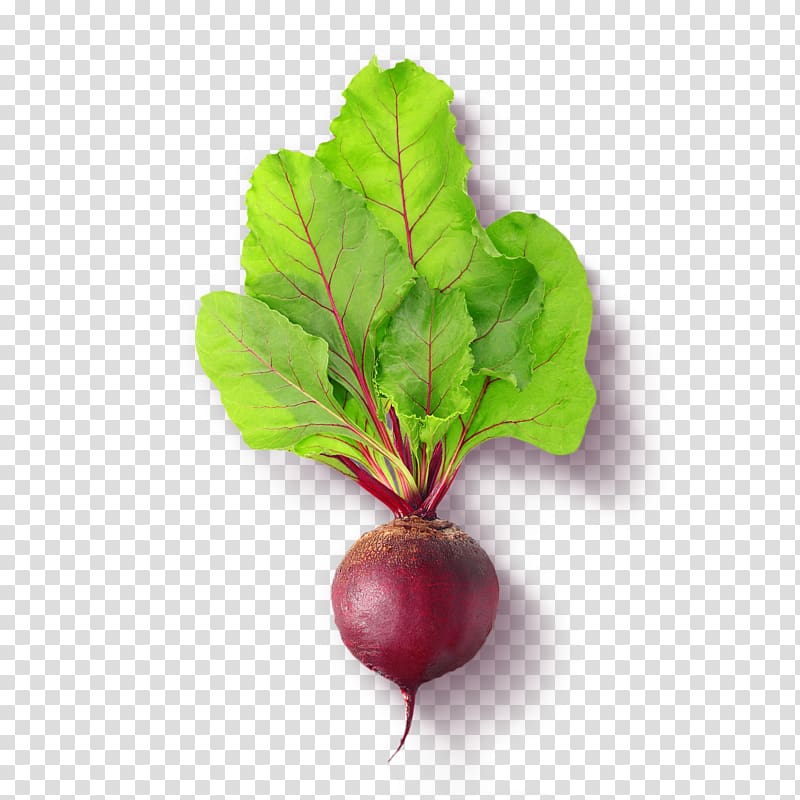 Chard Beetroot Food, beet transparent background PNG clipart