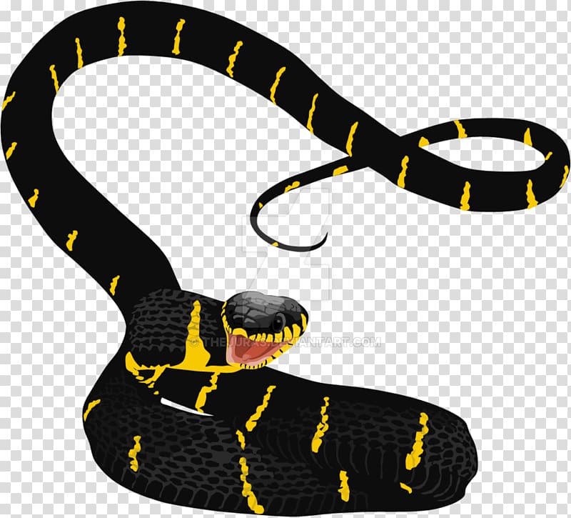 Scaled reptiles Kids Meet the Snakes Boiga dendrophila, mangrove snake transparent background PNG clipart