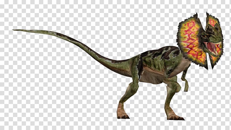 Velociraptor Tyrannosaurus Jurassic Park: Operation Genesis Dilophosaurus, jurassic park 2 transparent background PNG clipart