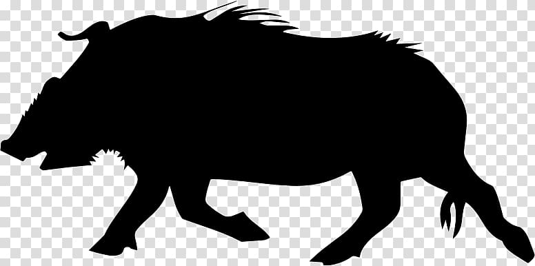 Wild boar Common warthog , Wild Boar transparent background PNG clipart