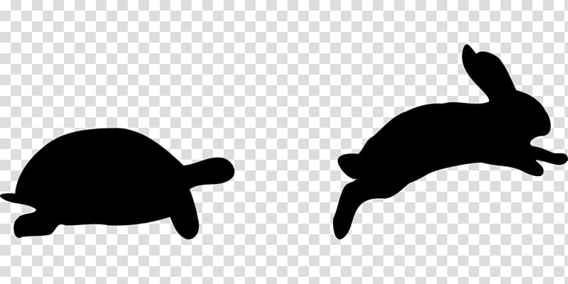 The Tortoise and the Hare Snowshoe hare Turtle , turtle transparent background PNG clipart
