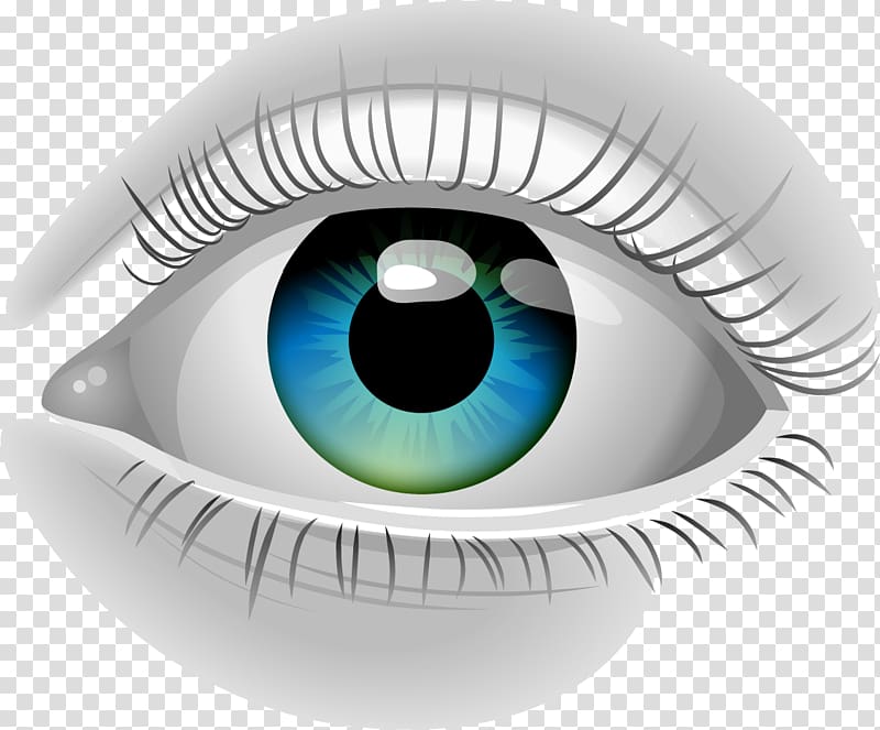 Human eye Anime Drawing , eyes transparent background PNG clipart