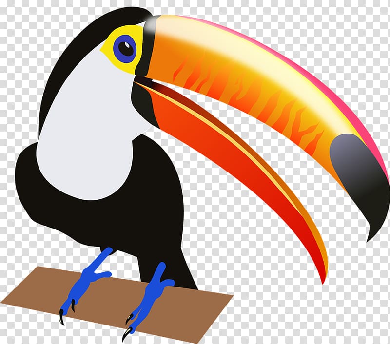 Toucan Bird , tukan transparent background PNG clipart