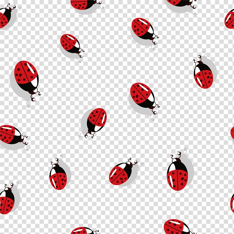 Beetle Ladybird Coccinella septempunctata , Beetle transparent background PNG clipart