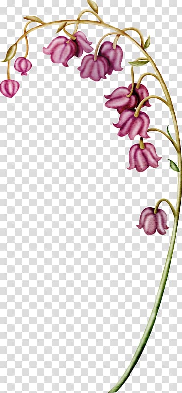 Lily of the valley Flower Euclidean , Pink lily of the valley transparent background PNG clipart