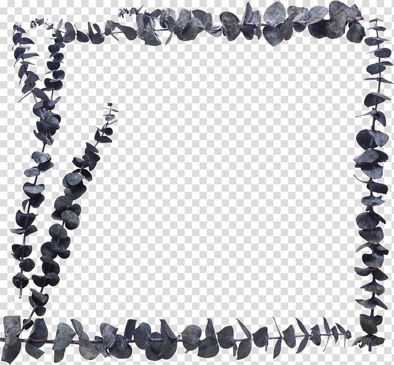 Frames Petal , Eucalyptus border transparent background PNG clipart