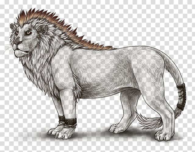 Lion Roar Big cat Terrestrial animal, lion transparent background PNG clipart
