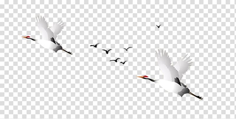 Red-crowned crane Goose , Crane transparent background PNG clipart