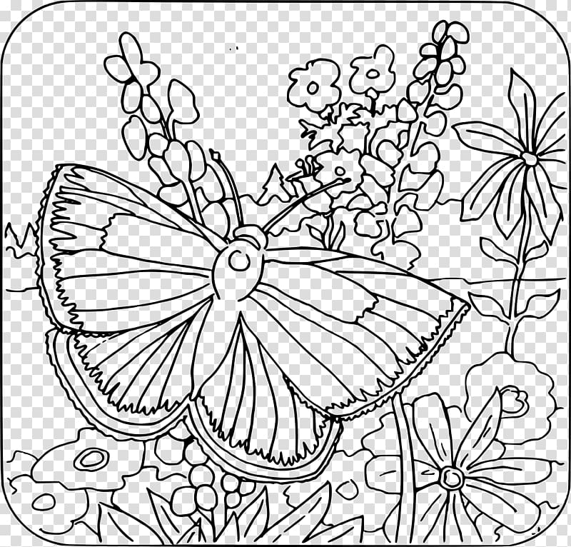Coloring book Child Adult Butterfly Page, child transparent background PNG clipart