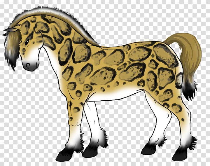 Savannah cat Mustang Pony Howrse Animal, mustang transparent background PNG clipart