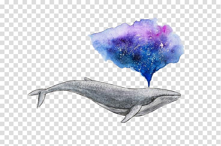 gray shark illustration, Watercolor painting Drawing Whale Art, Water whale transparent background PNG clipart