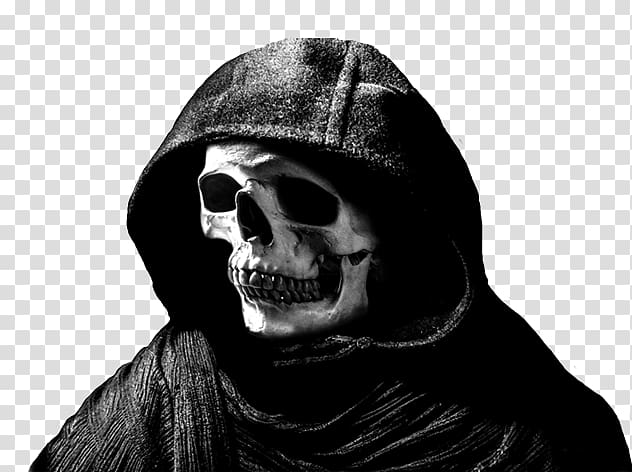 Skull Face Skeleton Death Drawing, skull transparent background PNG clipart