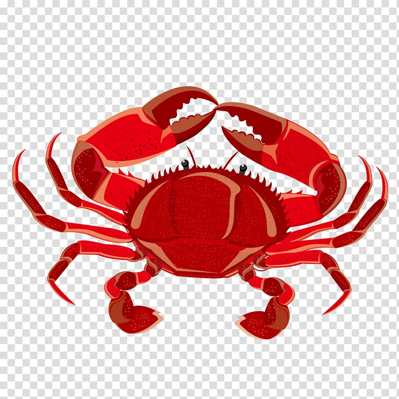 Crab Euclidean Illustration, Cartoon crab transparent background PNG clipart
