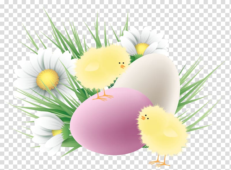 Easter Bunny Chicken Easter egg , ester transparent background PNG clipart