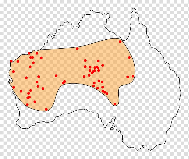 Indigenous Australians Perentie Western Civilization: A Brief History Dingo, Australia transparent background PNG clipart