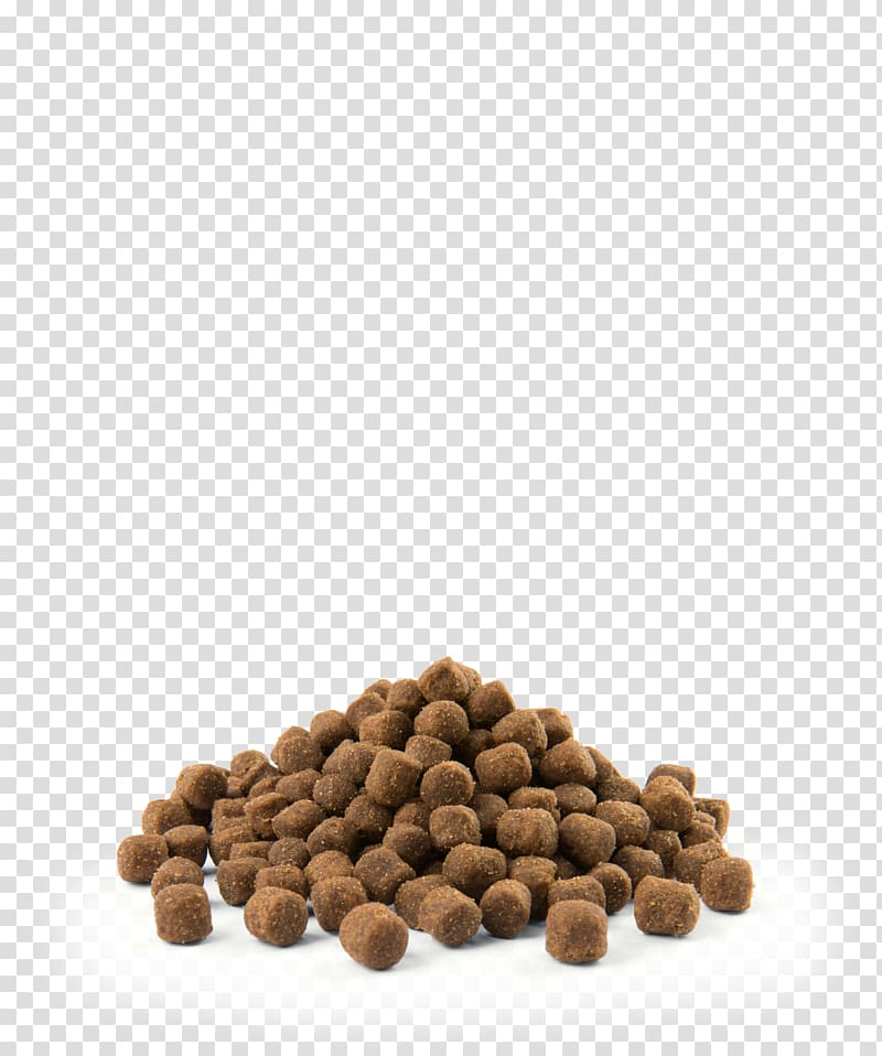MINI Cooper Dog Food Metabolism, Dog transparent background PNG clipart