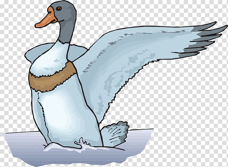 The Ugly Duckling Goose , duck transparent background PNG clipart