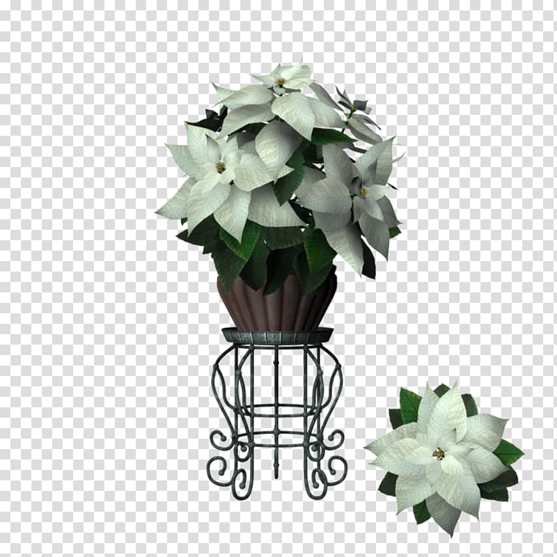 Flowerpot Floral design Poinsettia, marijuana leaf border transparent background PNG clipart